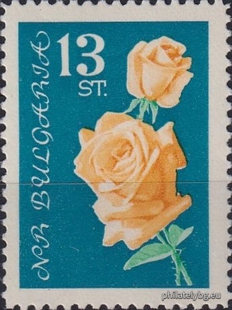 Decorative roses.