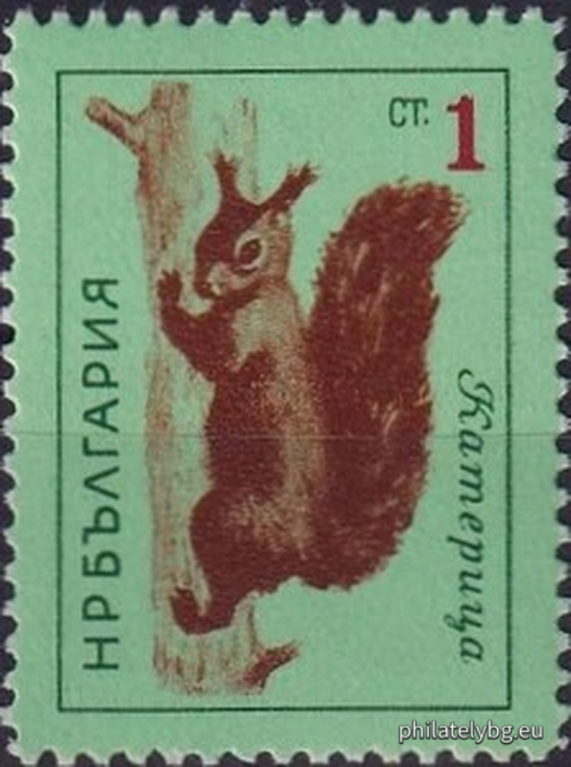 Борис Ангелушев, Стефан Кънчев и Любен Зидаров ( в колектив - група )