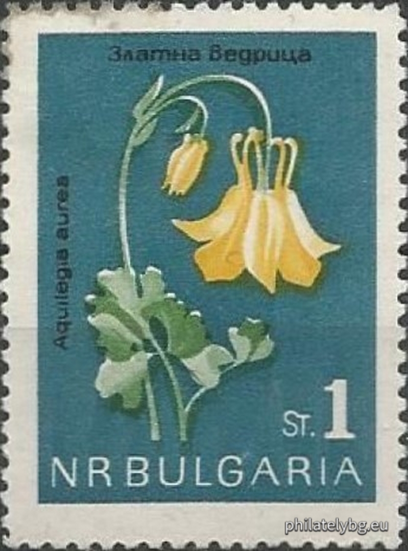 1462 - golden bucket (candlestick); 1463 - edelweiss; 1464 - Rila primrose; 1465 - white water lily; 1466 - Urum tulip; 1467 - long-spurred pansy; 1468 - mountain primrose; 1469 - narcissus anemone.