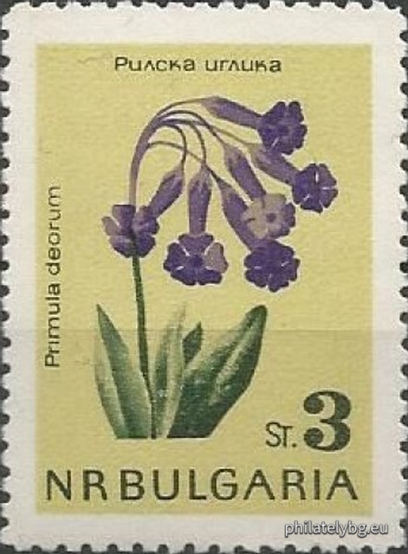 1462 - golden bucket (candlestick); 1463 - edelweiss; 1464 - Rila primrose; 1465 - white water lily; 1466 - Urum tulip; 1467 - long-spurred pansy; 1468 - mountain primrose; 1469 - narcissus anemone.
