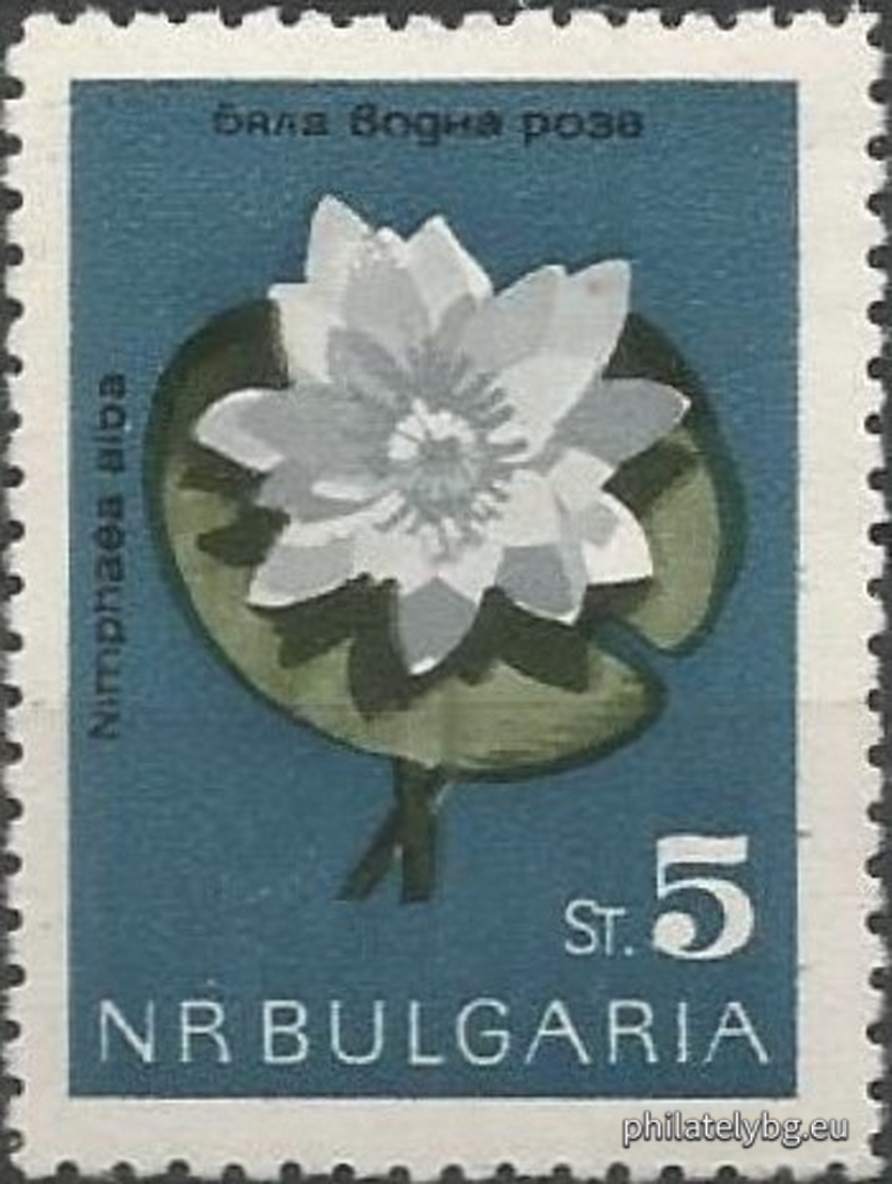 1462 - golden bucket (candlestick); 1463 - edelweiss; 1464 - Rila primrose; 1465 - white water lily; 1466 - Urum tulip; 1467 - long-spurred pansy; 1468 - mountain primrose; 1469 - narcissus anemone.