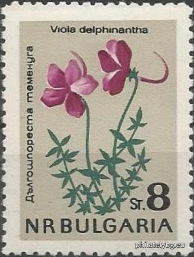 1462 - golden bucket (candlestick); 1463 - edelweiss; 1464 - Rila primrose; 1465 - white water lily; 1466 - Urum tulip; 1467 - long-spurred pansy; 1468 - mountain primrose; 1469 - narcissus anemone.