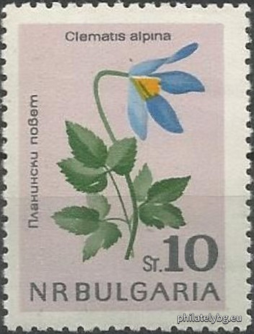 1462 - golden bucket (candlestick); 1463 - edelweiss; 1464 - Rila primrose; 1465 - white water lily; 1466 - Urum tulip; 1467 - long-spurred pansy; 1468 - mountain primrose; 1469 - narcissus anemone.