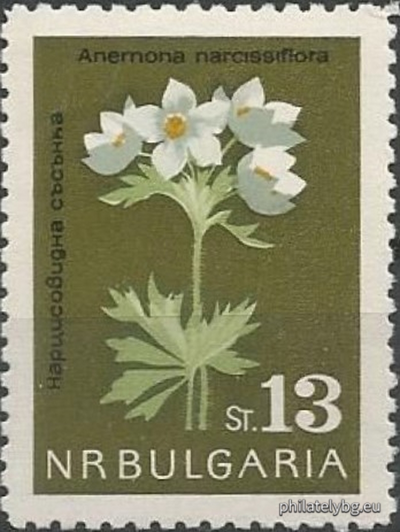 1462 - golden bucket (candlestick); 1463 - edelweiss; 1464 - Rila primrose; 1465 - white water lily; 1466 - Urum tulip; 1467 - long-spurred pansy; 1468 - mountain primrose; 1469 - narcissus anemone.