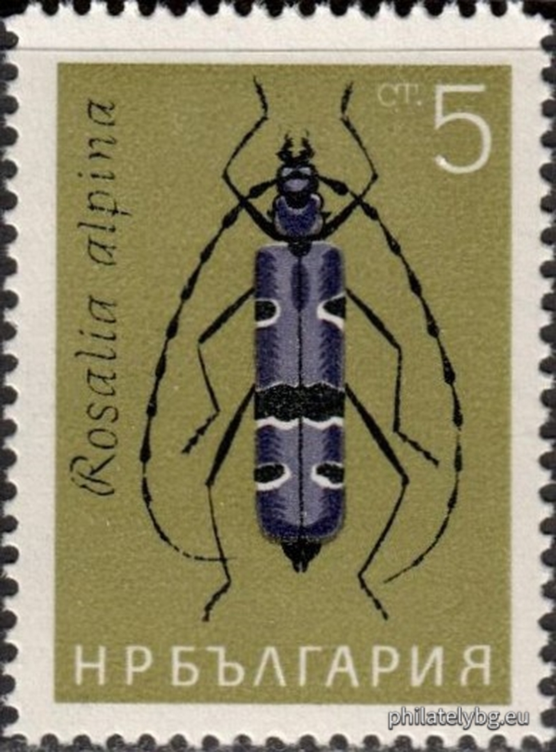 "Insects." - six postage stamps.