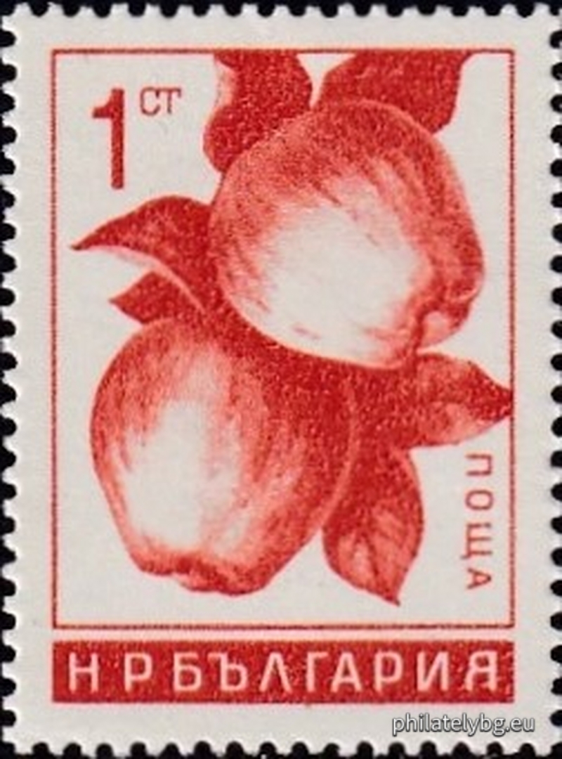 Здравка Тасева