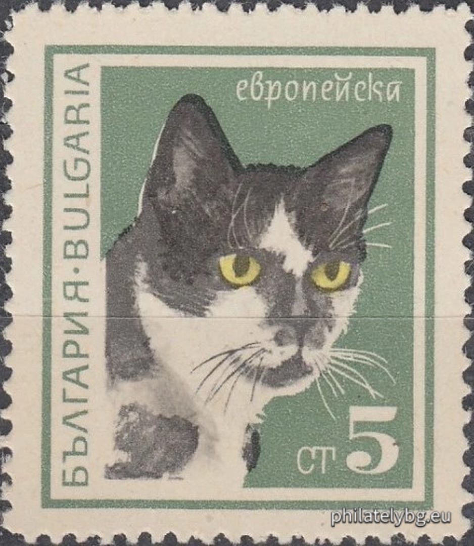 „ Котки . “ - шест пощенски марки.