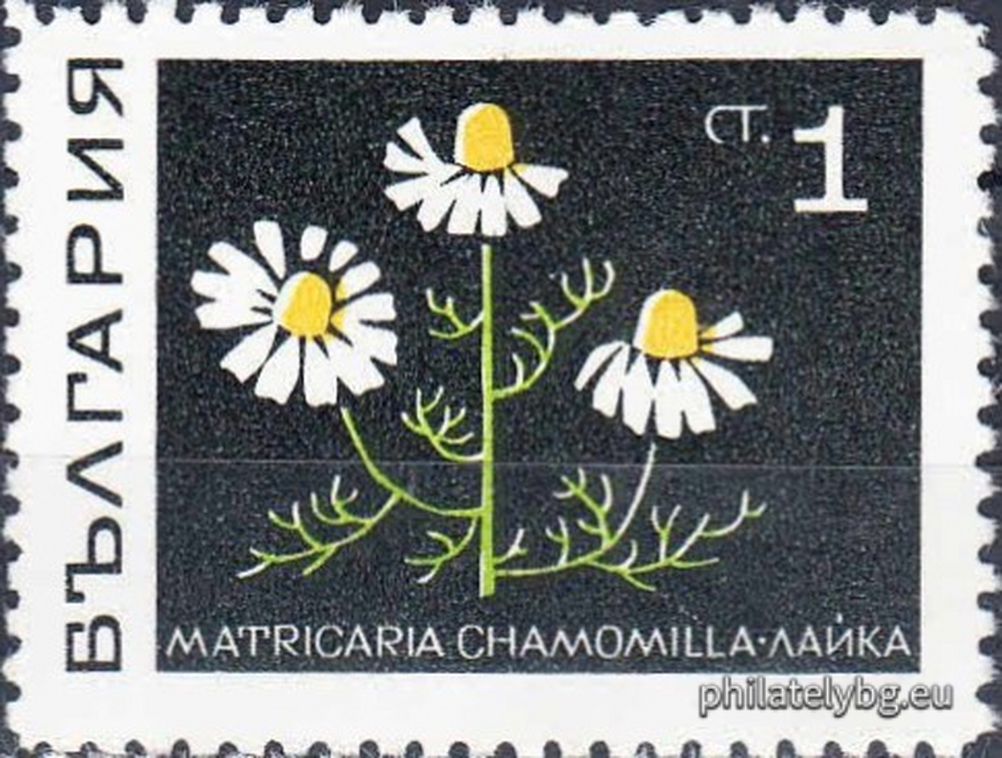 1969