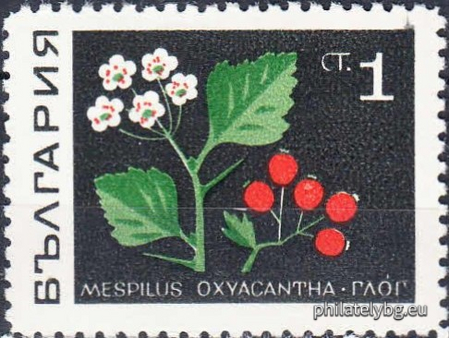 1922 - chamomile; 1923 - hawthorn; 1924 - lily of the valley; 1925 - belladonna; 1926 - mallow; 1927 - primrose; 1928 - wild poppy; 1929 - thyme.
