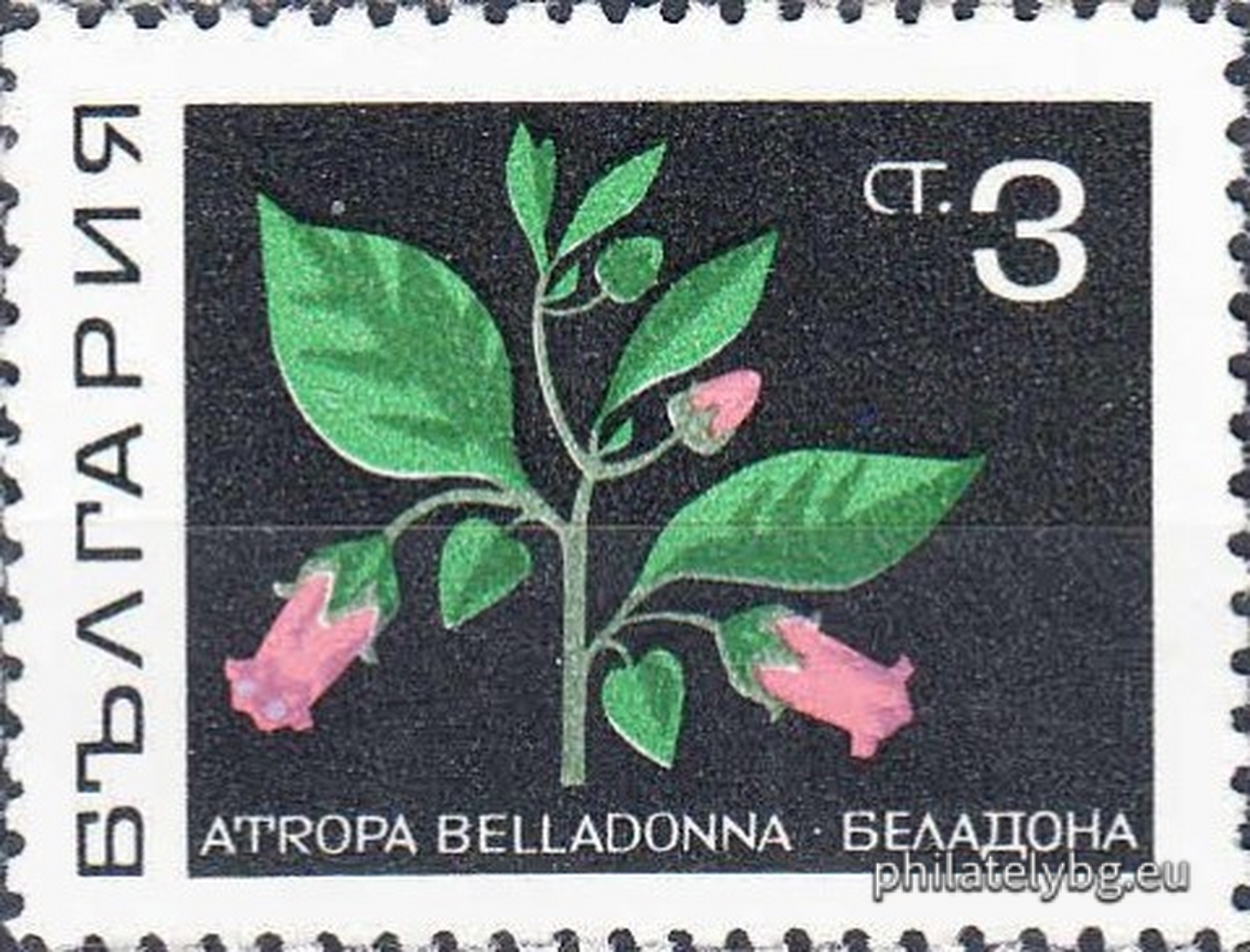 1922 - chamomile; 1923 - hawthorn; 1924 - lily of the valley; 1925 - belladonna; 1926 - mallow; 1927 - primrose; 1928 - wild poppy; 1929 - thyme.