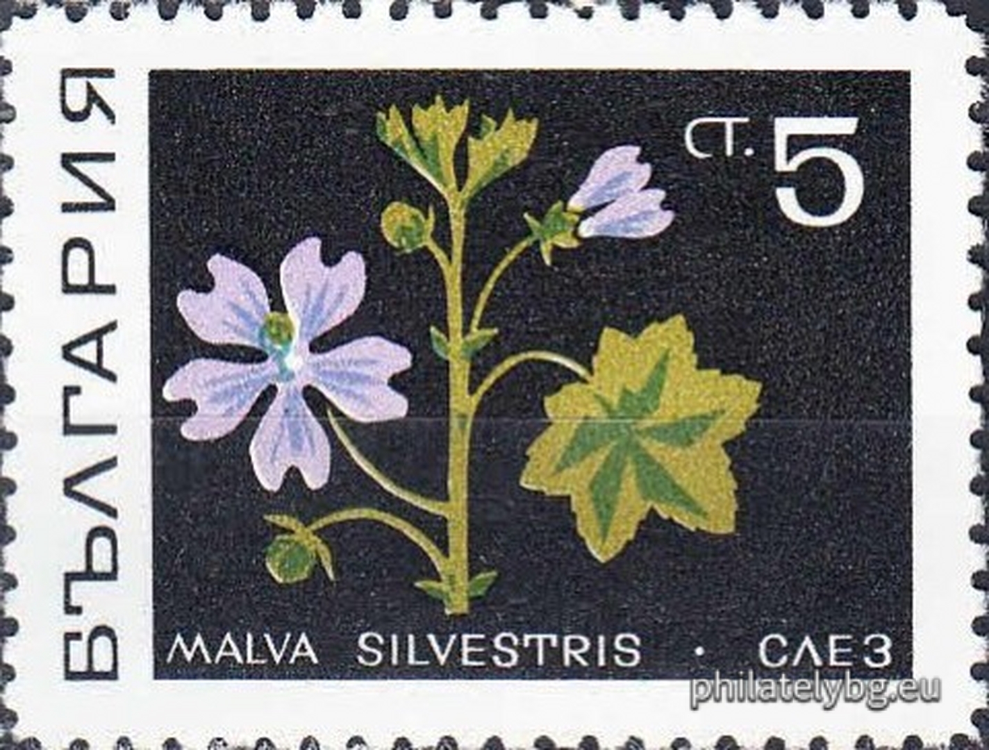 1922 - chamomile; 1923 - hawthorn; 1924 - lily of the valley; 1925 - belladonna; 1926 - mallow; 1927 - primrose; 1928 - wild poppy; 1929 - thyme.