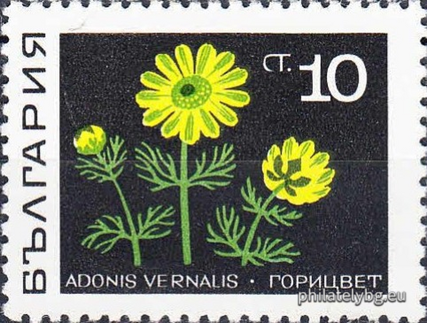 1922 - chamomile; 1923 - hawthorn; 1924 - lily of the valley; 1925 - belladonna; 1926 - mallow; 1927 - primrose; 1928 - wild poppy; 1929 - thyme.