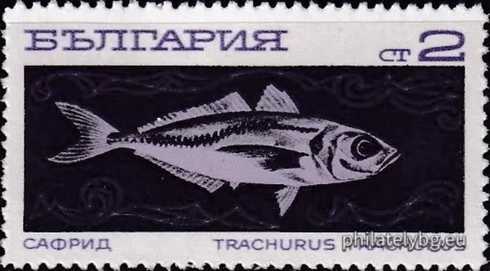 2020 - ocean fishing trawler; 2021 - hake; 2022 - horse mackerel; 2023 - sardine; 2024 - crucian carp; 2025 - mackerel; 2026 - skipjack fish; 2027 - lychia.