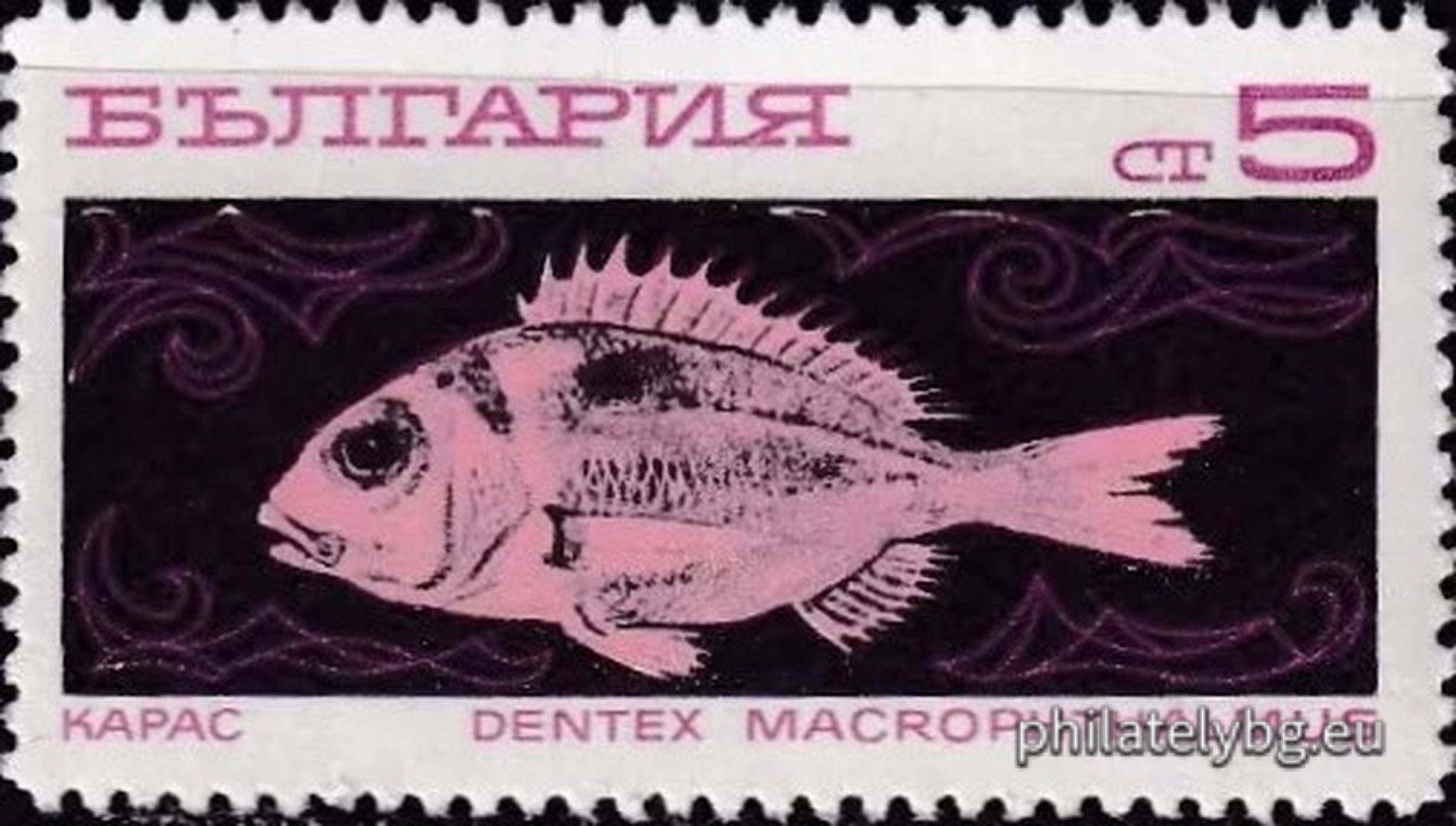 2020 - ocean fishing trawler; 2021 - hake; 2022 - horse mackerel; 2023 - sardine; 2024 - crucian carp; 2025 - mackerel; 2026 - skipjack fish; 2027 - lychia.