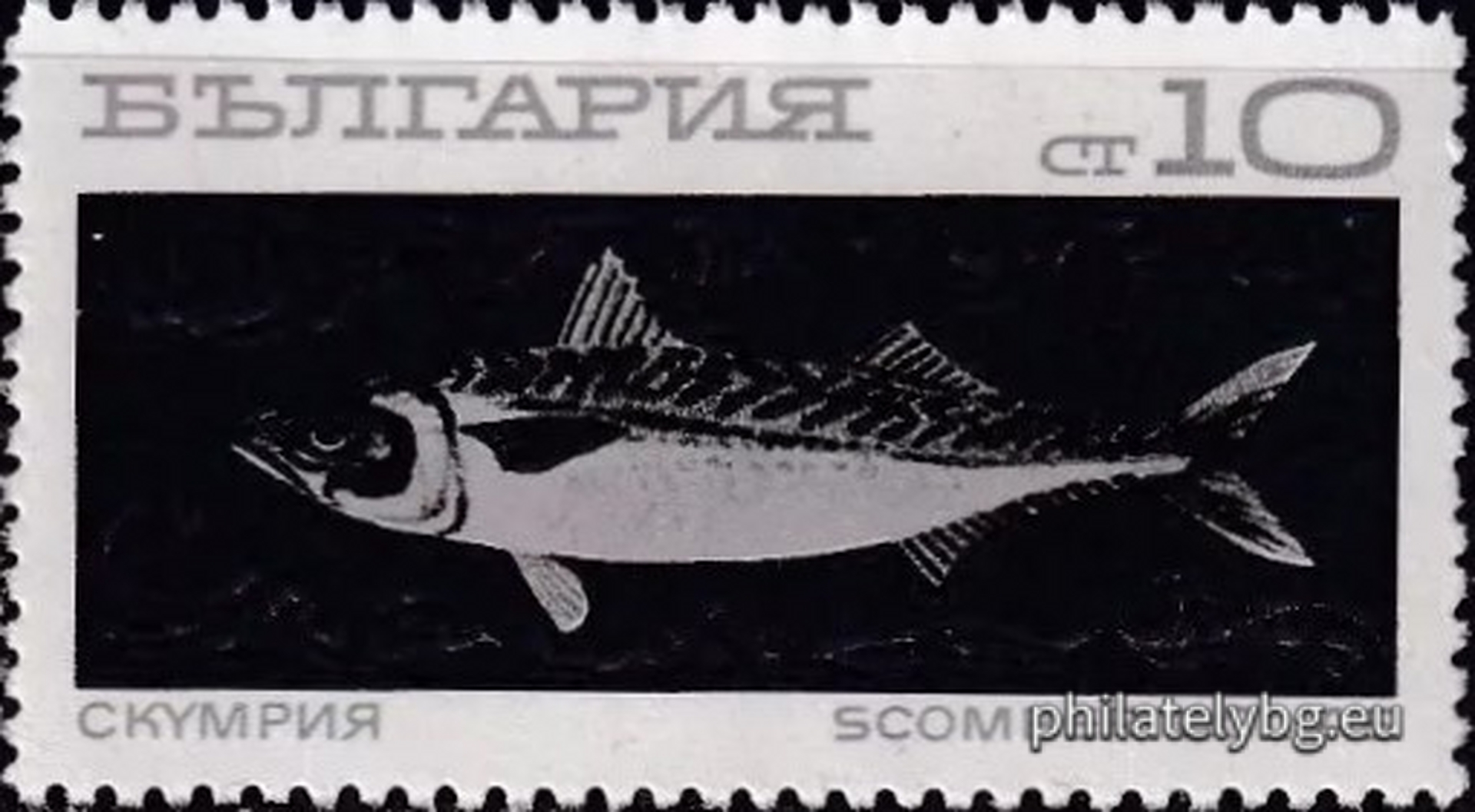 2020 - ocean fishing trawler; 2021 - hake; 2022 - horse mackerel; 2023 - sardine; 2024 - crucian carp; 2025 - mackerel; 2026 - skipjack fish; 2027 - lychia.