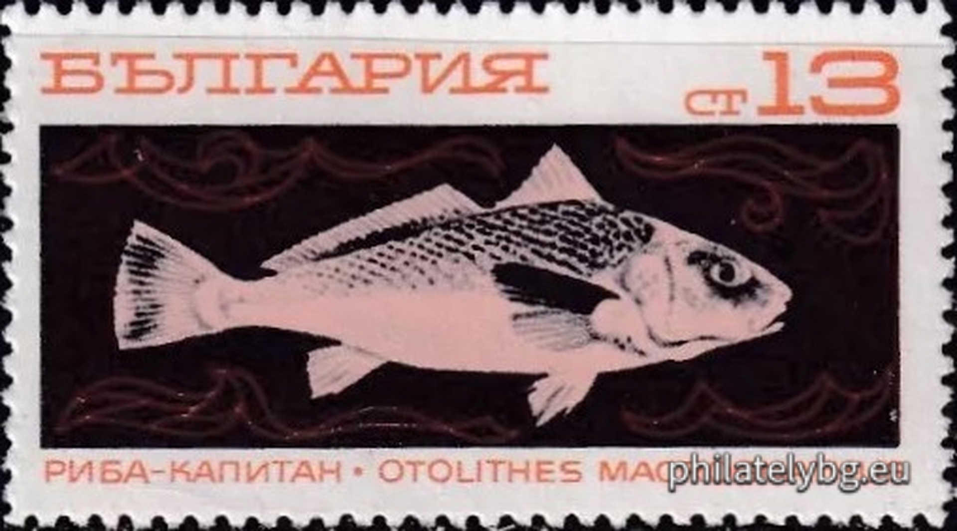2020 - ocean fishing trawler; 2021 - hake; 2022 - horse mackerel; 2023 - sardine; 2024 - crucian carp; 2025 - mackerel; 2026 - skipjack fish; 2027 - lychia.