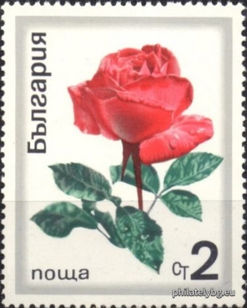 2065 - oil-bearing rose; 2066-2072 - various types of ornamental roses.