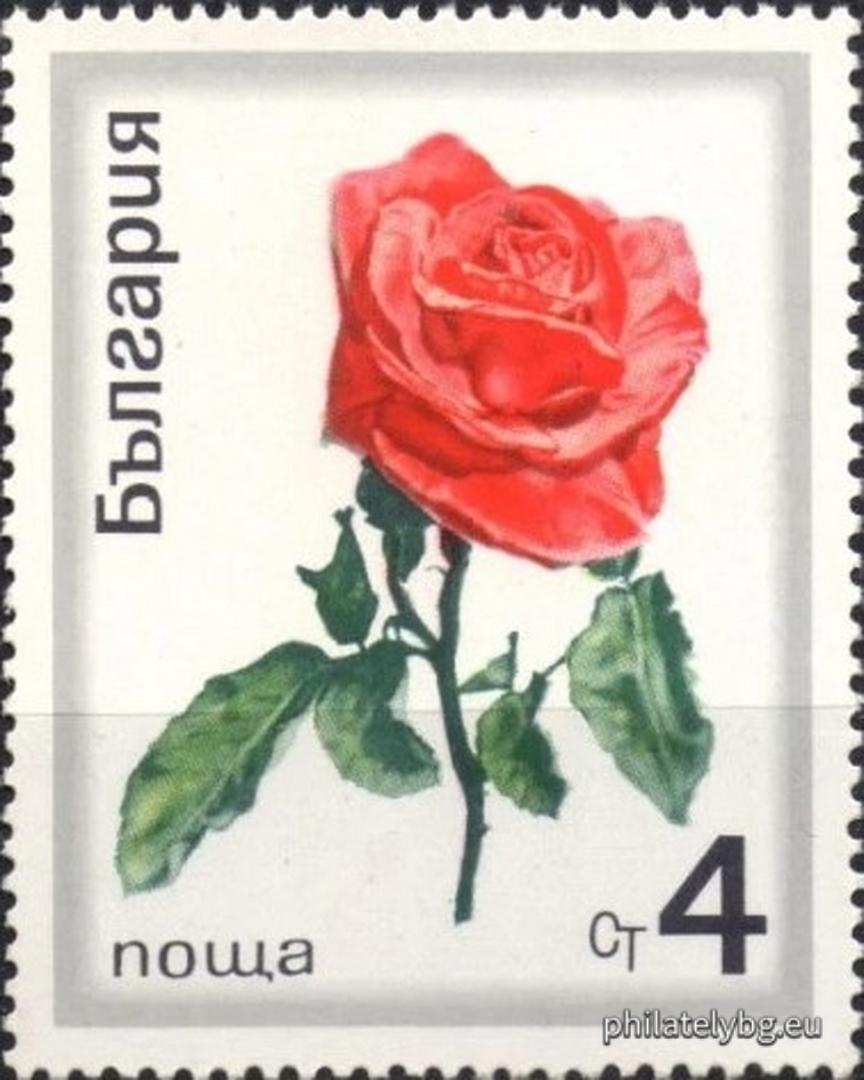 2065 - oil-bearing rose; 2066-2072 - various types of ornamental roses.
