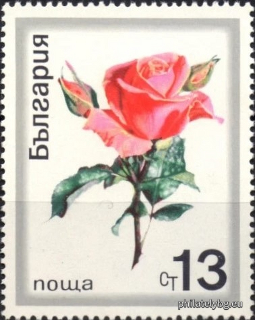2065 - oil-bearing rose; 2066-2072 - various types of ornamental roses.