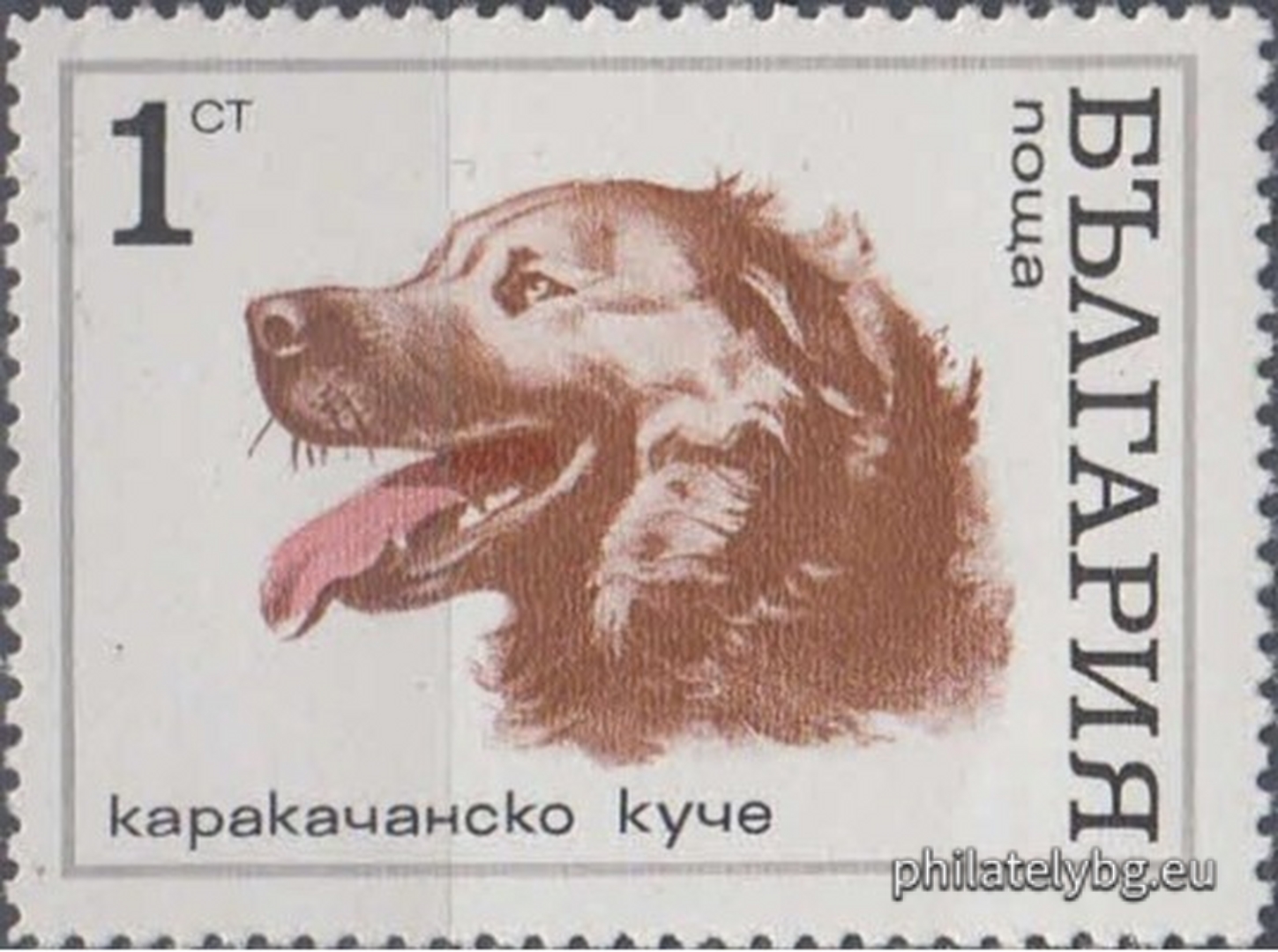 2087 - Karakachan dog; 2088 - Deliorman beagle; 2089 - Great Dane; 2090 - Boxer; 2091 - Cocker Spaniel; 2092 - Doberman Pinscher; 2093 - Scottish Terrier; 2094 - Russian Greyhound.