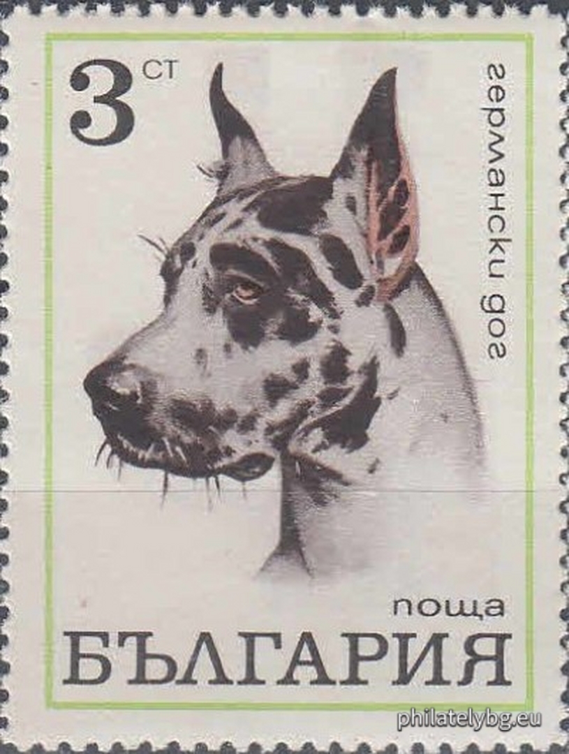 2087 - Karakachan dog; 2088 - Deliorman beagle; 2089 - Great Dane; 2090 - Boxer; 2091 - Cocker Spaniel; 2092 - Doberman Pinscher; 2093 - Scottish Terrier; 2094 - Russian Greyhound.