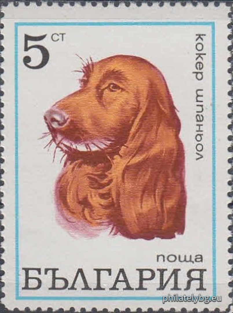 2087 - Karakachan dog; 2088 - Deliorman beagle; 2089 - Great Dane; 2090 - Boxer; 2091 - Cocker Spaniel; 2092 - Doberman Pinscher; 2093 - Scottish Terrier; 2094 - Russian Greyhound.