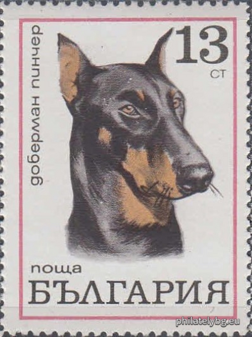 2087 - Karakachan dog; 2088 - Deliorman beagle; 2089 - Great Dane; 2090 - Boxer; 2091 - Cocker Spaniel; 2092 - Doberman Pinscher; 2093 - Scottish Terrier; 2094 - Russian Greyhound.