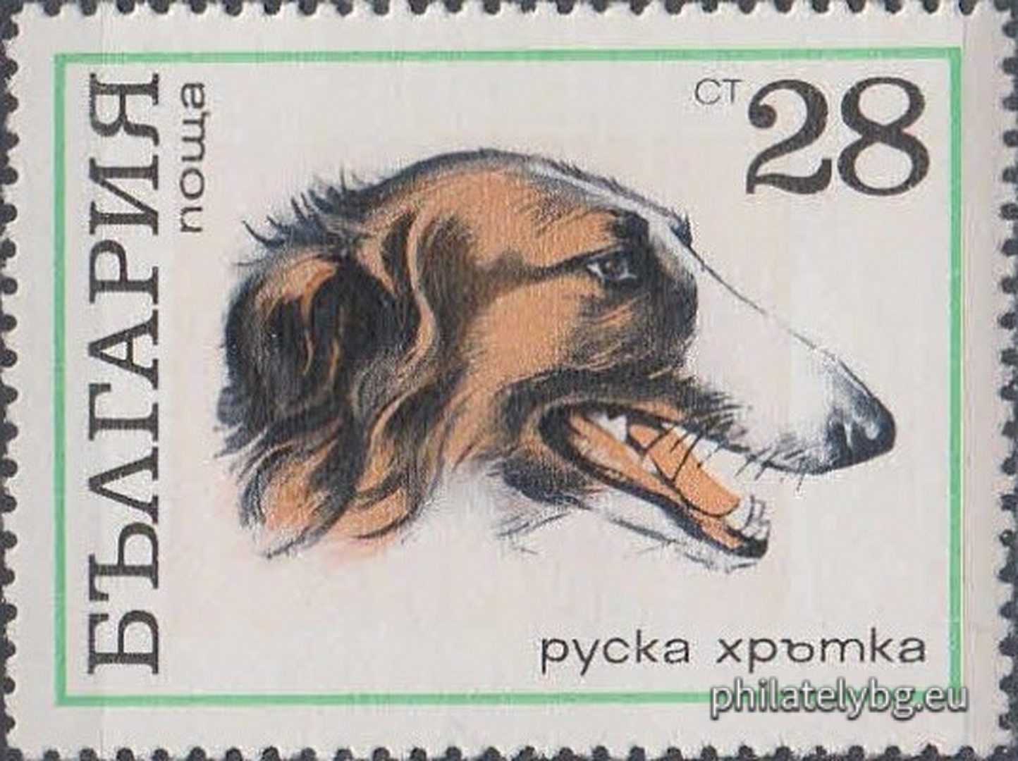 2087 - Karakachan dog; 2088 - Deliorman beagle; 2089 - Great Dane; 2090 - Boxer; 2091 - Cocker Spaniel; 2092 - Doberman Pinscher; 2093 - Scottish Terrier; 2094 - Russian Greyhound.