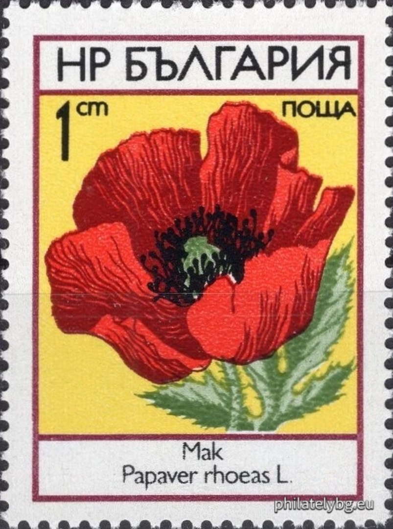 2303 - poppy; 2304 - daisy; 2305 - peony; 2306 - cornflower; 2307 - cornflower; 2308 - buttercup.