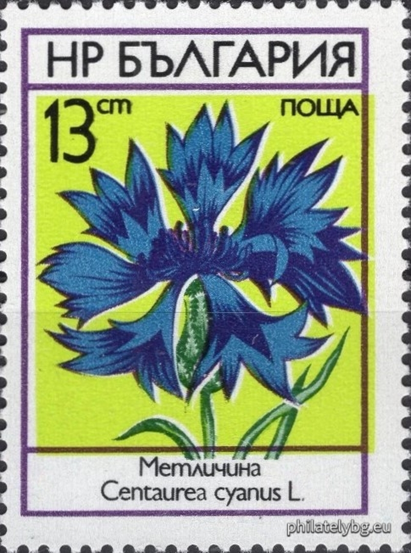2303 - poppy; 2304 - daisy; 2305 - peony; 2306 - cornflower; 2307 - cornflower; 2308 - buttercup.