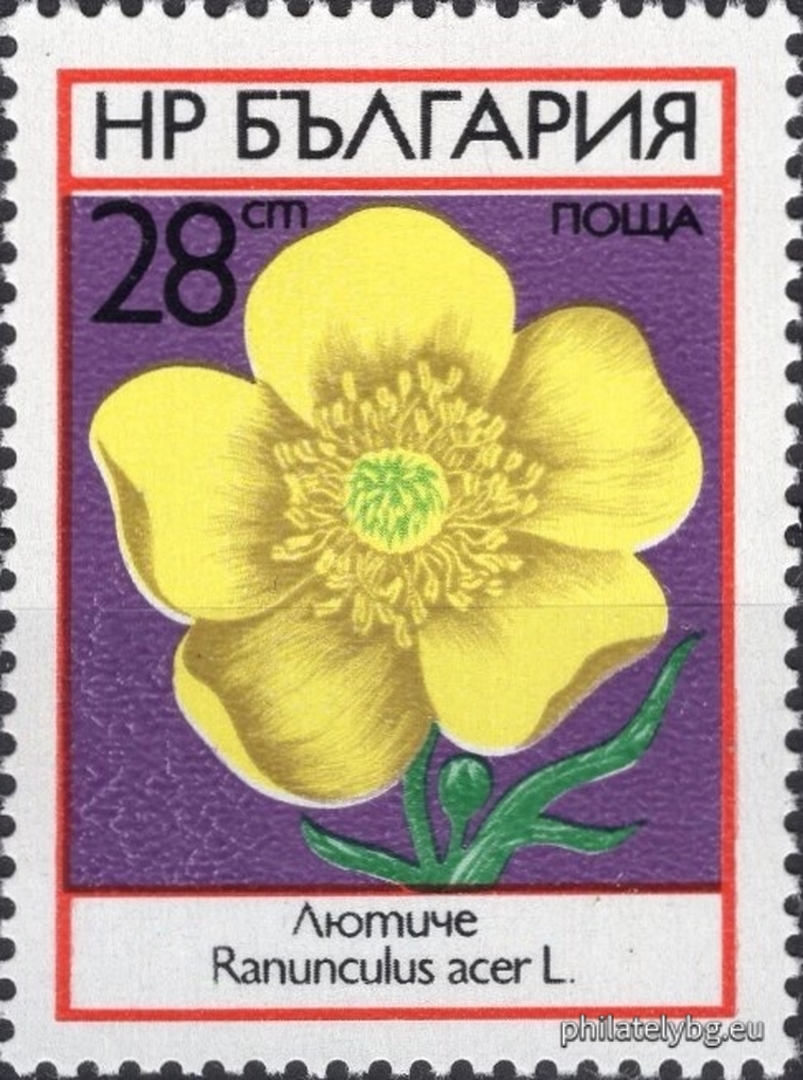 2303 - poppy; 2304 - daisy; 2305 - peony; 2306 - cornflower; 2307 - cornflower; 2308 - buttercup.