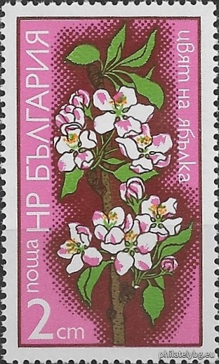 "Flowers of fruit trees." - five postage stamps.