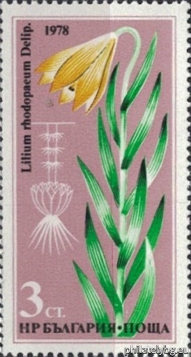 2749 - Stiburniis tulip; 2750 - Dryanovskas tulip; 2751 - Rhodope cream; 2752 - Urum tulip; 2753 - Yellow mountain cream (Samodiv tulip); 2754 - Rhodope tulip.