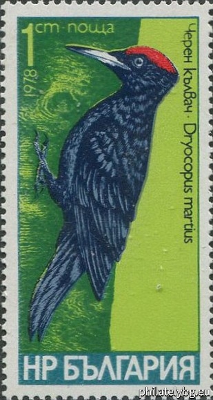 2766 - black woodpecker; 2767 - Syrian spotted woodpecker; 2768 - three-toed woodpecker; 2769 - medium spotted woodpecker; 2770 - little spotted woodpecker; 2771 - green woodpecker.