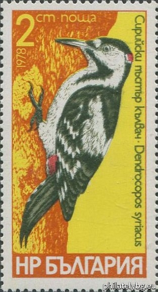 2766 - black woodpecker; 2767 - Syrian spotted woodpecker; 2768 - three-toed woodpecker; 2769 - medium spotted woodpecker; 2770 - little spotted woodpecker; 2771 - green woodpecker.