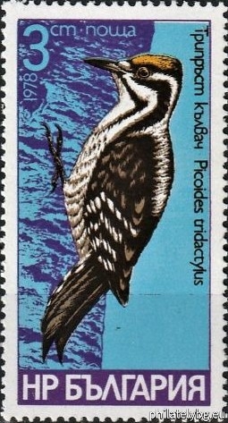 2766 - black woodpecker; 2767 - Syrian spotted woodpecker; 2768 - three-toed woodpecker; 2769 - medium spotted woodpecker; 2770 - little spotted woodpecker; 2771 - green woodpecker.
