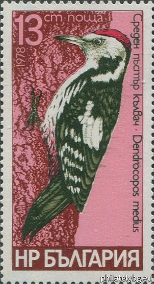 2766 - black woodpecker; 2767 - Syrian spotted woodpecker; 2768 - three-toed woodpecker; 2769 - medium spotted woodpecker; 2770 - little spotted woodpecker; 2771 - green woodpecker.