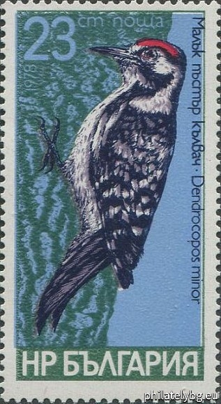 2766 - black woodpecker; 2767 - Syrian spotted woodpecker; 2768 - three-toed woodpecker; 2769 - medium spotted woodpecker; 2770 - little spotted woodpecker; 2771 - green woodpecker.