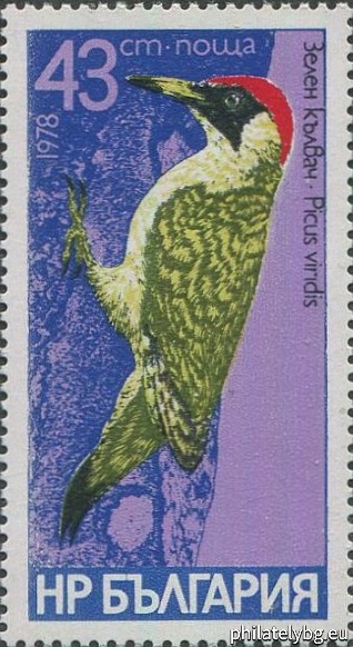 2766 - black woodpecker; 2767 - Syrian spotted woodpecker; 2768 - three-toed woodpecker; 2769 - medium spotted woodpecker; 2770 - little spotted woodpecker; 2771 - green woodpecker.