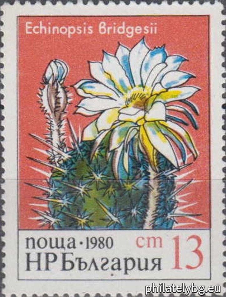 "Cacti." - five postage stamps.