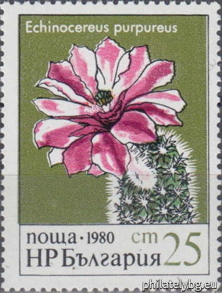"Cacti." - five postage stamps.
