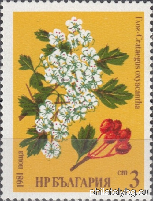 „ Лечебни растения . “ - шест пощенски марки.