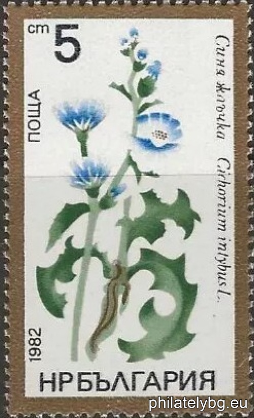3129 - marsh snowdrop; 3130 - blue gall; 3131 - narrow-leaved fireweed; 3132 - medicinal boys tear; 3133 - fragrant pansy; 3134 - spring celandine.