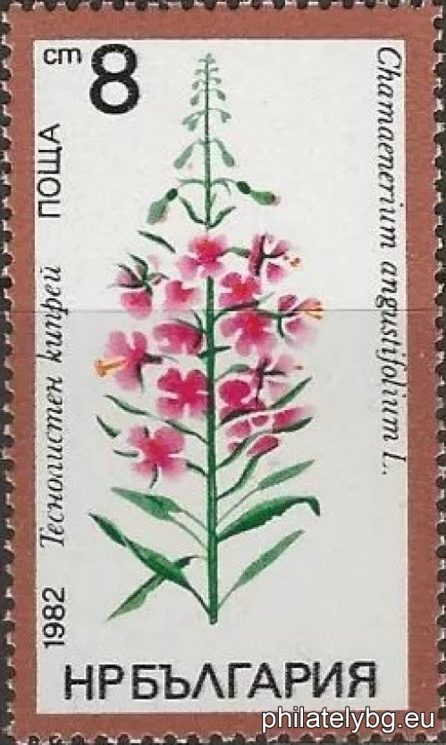 3129 - marsh snowdrop; 3130 - blue gall; 3131 - narrow-leaved fireweed; 3132 - medicinal boys tear; 3133 - fragrant pansy; 3134 - spring celandine.