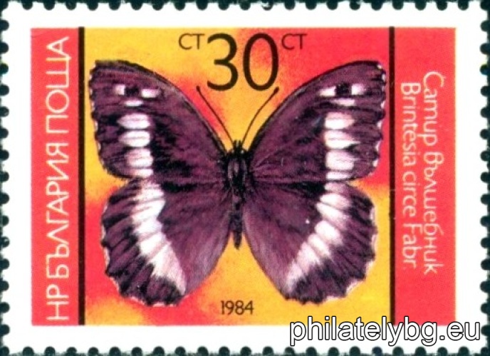 3358 - diurnal peacock eye; 3359 - large cresstotinka; 3360 - satyr wizard; 3361 - cardamine butterfly; 3362 - admiral.