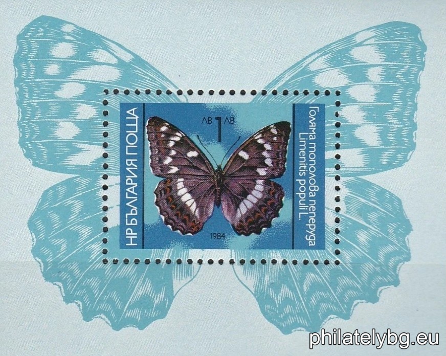 Large poplar butterfly.