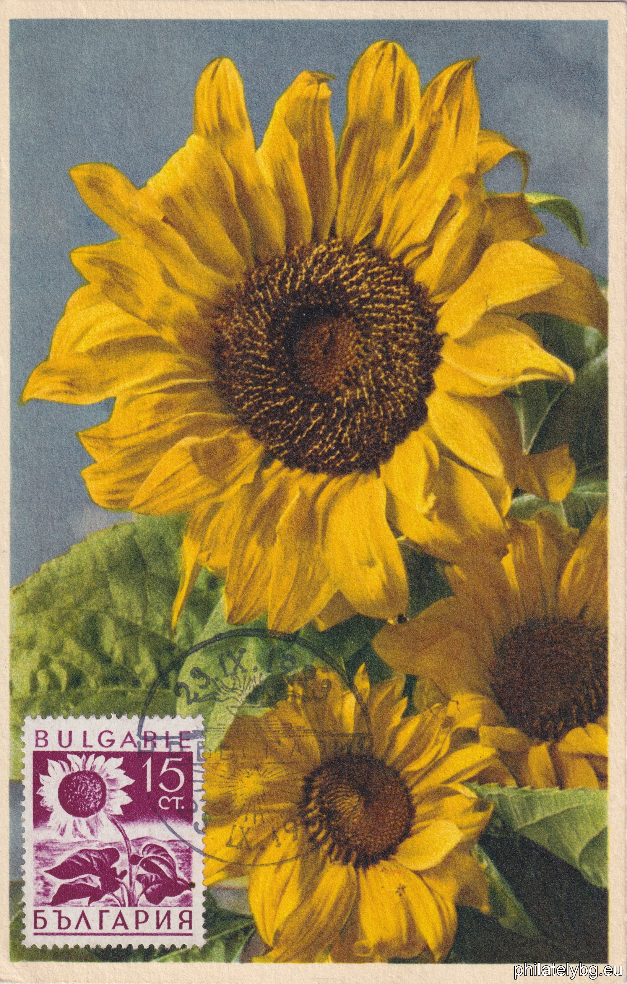 1938