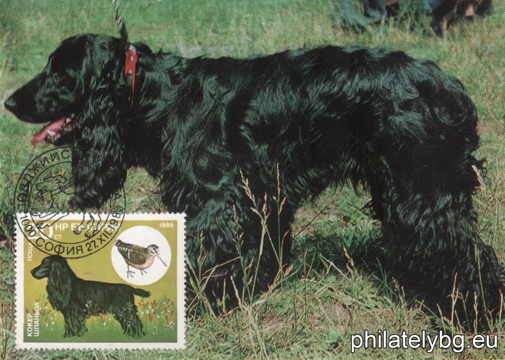 3470 - Pointer and Partridge; 3471 - Irish Setter and Red-headed Duck; 3472 - English Setter and Mallard; 3473 - Cocker Spaniel and Wood Snipe; 3474 - German Shorthaired Pointer and Wild Hare; 3475 - Bulgarian (Ludogorsko) Beagle and Wild Boar; 3476 - Dachshund and Fox.