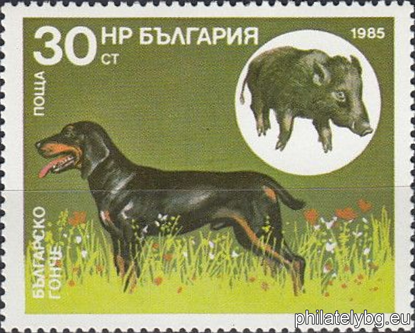 „ Ловджийски кучета. “  - седем пощенски марки.