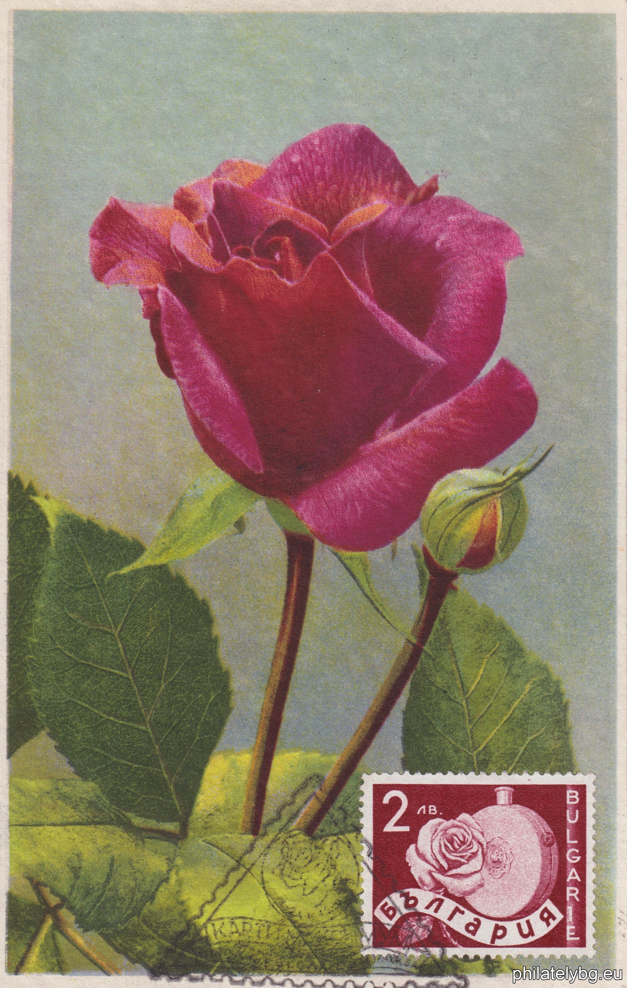 338-339 - reapers; 340-341 - sunflower; 342-343 - ears of wheat; 344-345 - chickens, eggs; 346-347 - grapes; 348-349 - oil-bearing rose and a vessel for rose oil; 350-351 - strawberries; 352-353 - grape picker (allegory); 354-355 - oil-bearing rose; 356-357 - tobacco.